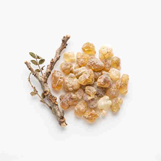 Boswellia serrata